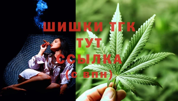 ПСИЛОЦИБИНОВЫЕ ГРИБЫ Надым
