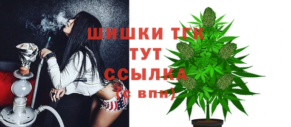 крисы Наволоки