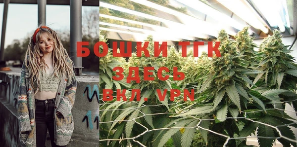 крисы Наволоки