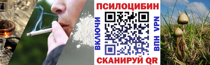 Купить закладки  Нижняя Салда  Псилоцибиновые грибы ЛСД 